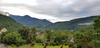 林業陳列館2樓景觀平台風景秀麗