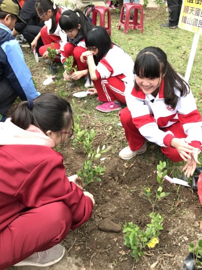 學生親手植樹