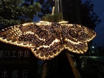 枯球籮紋蛾閃現觸口自然教育中心