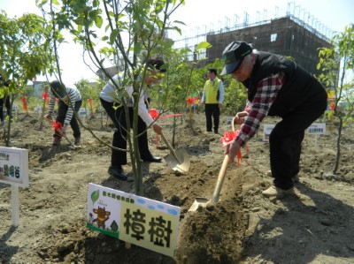 貴賓植樹