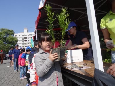 上以唐幼兒園的小朋友帶發票來領苗