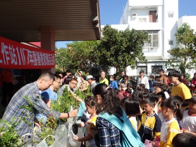 民眾排隊領取苗木