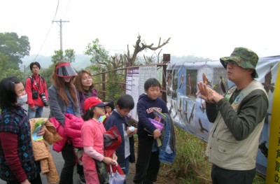 「鷹揚八卦賞鷹活動」灰面鵟鷹過境觀察