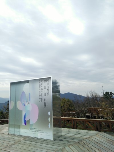 來小笠原山廣場中央展開一段櫻與音的對話吧
