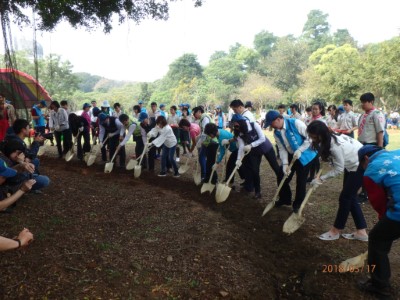 大榕樹由大家一起鬆鬆土護大樹