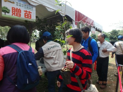 桂花贈苗迅速由民眾下架！