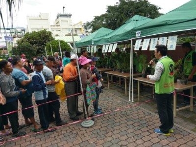 手拿發票捐公益，綠樹紅花「贈」正好