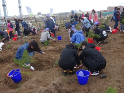 澎科大學生也熱情參加植樹