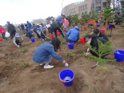 澎科大學生也熱情參與植樹