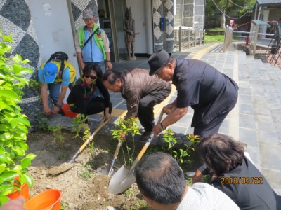 大武工作站攜手達仁鄉公所種樹，原鄉再現台灣原生綠