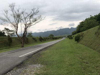 大農大富平地森林園區入口天堂路