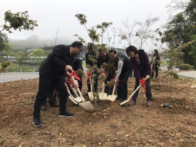 植樹情形