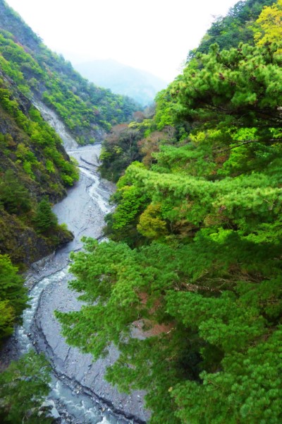 吊橋上眺望北溪