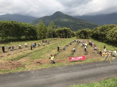 趁春暖花開造林適宜時節，光復鄉鄉親、台糖公司同仁及林區管理處員工，一起種植平地常見的原生樹種—相思樹