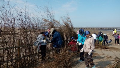 協助布袋好美國小、好美里社區發展協會、基督長老教會辦理「植樹造林守護海岸線」沙灘堆砂籬活動（趙恭興）