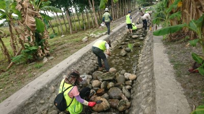 移除渠道內的福壽螺、落葉、淤泥及垃圾