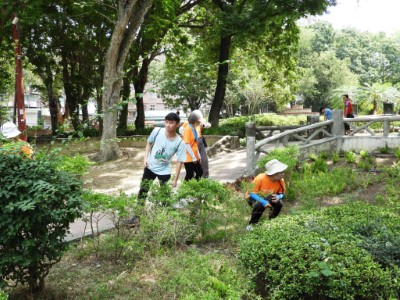 活動分組於公園內搜尋沙蜥