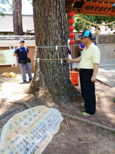 傅春旭老師示範如何替老樹健檢