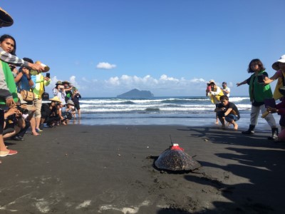 魷魚絲野放後下海照片，前面為龜山島。