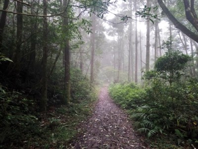 浸水營國家步道全線封閉 請遊客切勿前往。