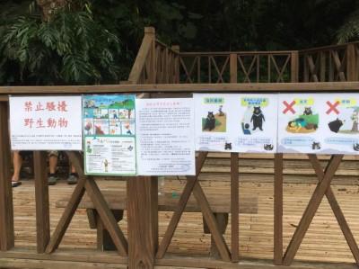 暫時封閉讓黑熊家族團圓照片2