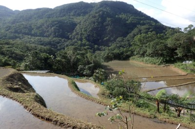 水梯田對於山地水土保持有著優越的儲水淨水功能