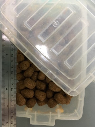 台北市立動物園提供專用熊飼料