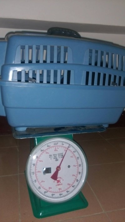 小熊健康檢查