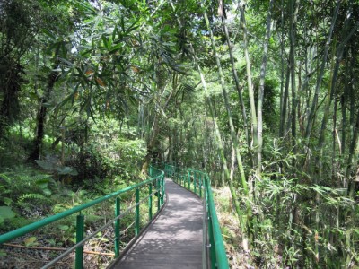 池南森林遊樂區內有多處規劃良好的林蔭步道
