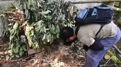 06小熊移至自然環境之場域