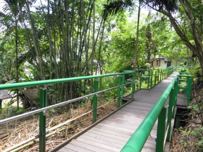池南森林遊樂區內有多處規劃良好的林蔭步道