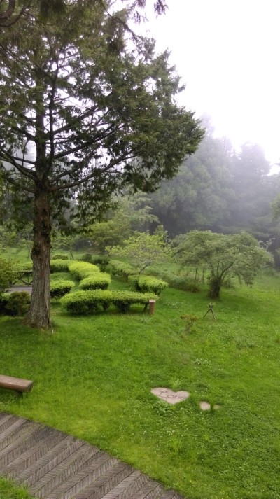 高山植物園