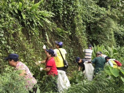 烏石坑社區居民賣力拔處小花蔓澤蘭