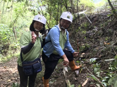 參加民眾開心種下山茶