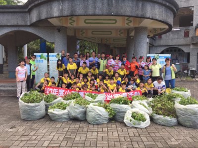 百人拔百斤，其中一半是小孩。110位民眾参與，拔除115.12公斤