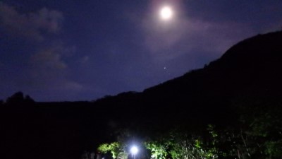 陽光草坪月色照