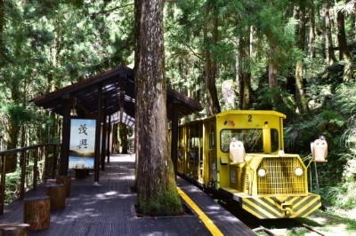 太平山蹦蹦車