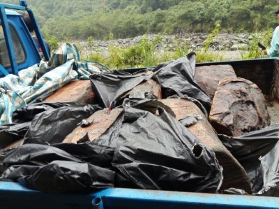 假日無休，林、警聯手  山老鼠難逃查緝法網