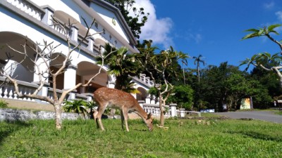 特殊的熱帶季風植物與動物資源(攝影者：黃曾絃宇)