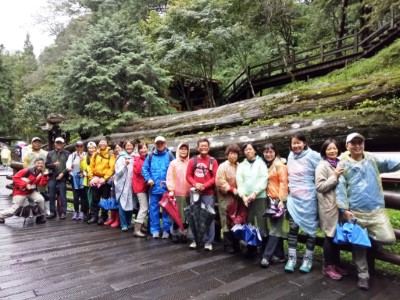 阿里山森林遊樂區的參天古木之美永在心中