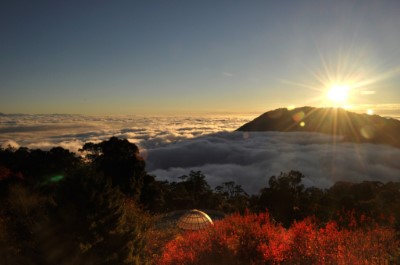 大雪山雲海及楓紅