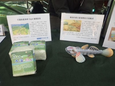 花蓮林區管理處推出東海岸復興部落濕地米與大吻鰕虎紙模型合作進行勸募