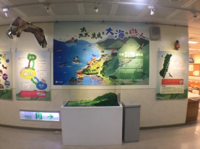 花蓮里山倡議及濕地保育－森林是大海的戀人特展於花蓮門諾醫院門診大樓二樓開展