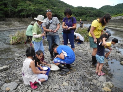 2.學員們認真觀察水生昆蟲