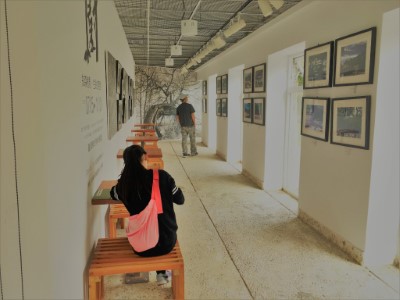 臺德老樹聯展
