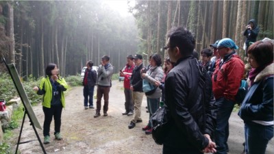 實地至阿里山勘查柳杉疏伐作業情形