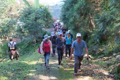 租地注入新活力 臺東林管處輔導林農試辦林下栽培成果豐碩