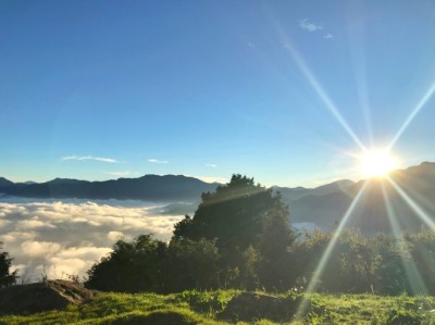壯麗日出雲海