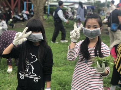 光華國小學童成功辨識並拔除社區草地生長的銀膠菊