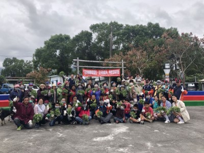 林管處同仁與光華社區居民共同拔除住家周遭的銀膠菊，成果顯著，並展現防除國際毒草入侵家園的決心